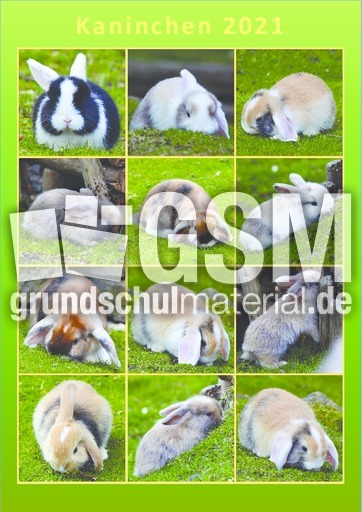 Kaninchen_Kalender_2021_2.pdf
